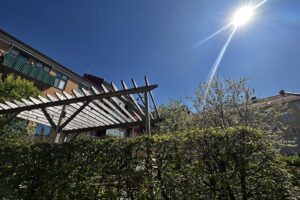 Pergola Pergola