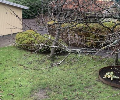 Tjörns Trädgårdar