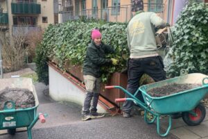 Tjörns Trädgårdar