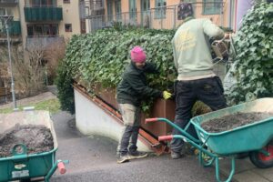 Tjörns Trädgårdar